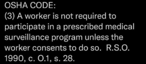 img - 2021-10-09T163224.368