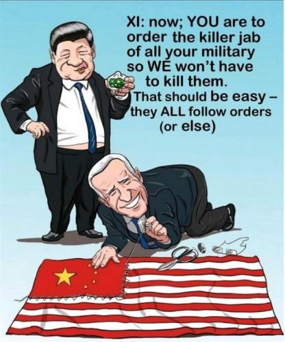 Owned Biden