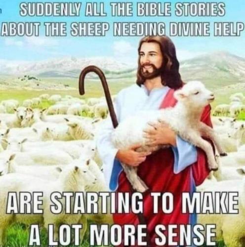 IMG_20211022_075349_110