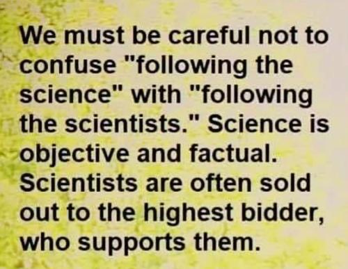 M science