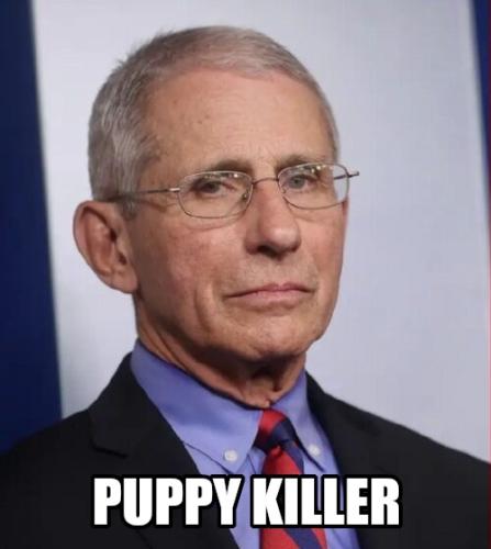 puppykiller