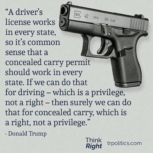 Guns269
