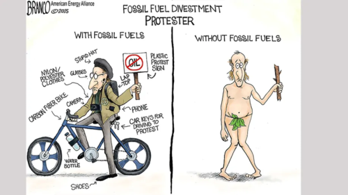 fossil fuel protester