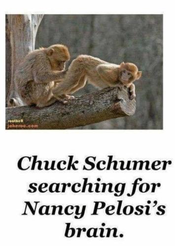 chuck and nancy