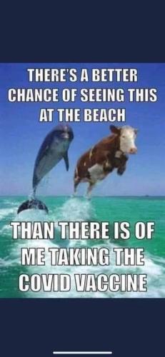 better chance of seeing this