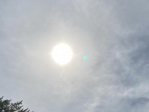 71877342-508A-45BC-BBD8-E5E01C2286E2