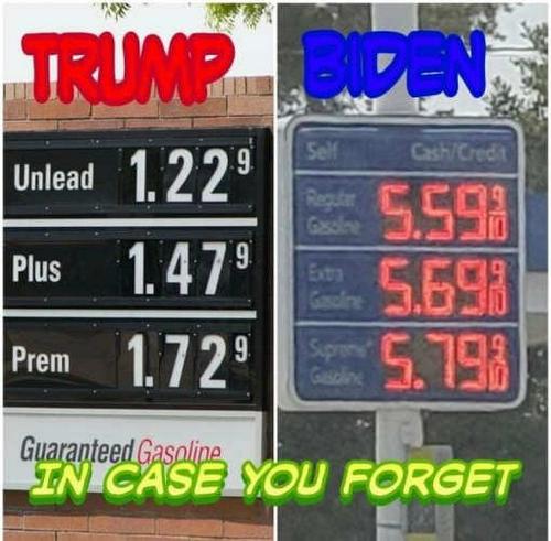 a6e262114ff4bdc97f94b8fd30f0e659_500x0