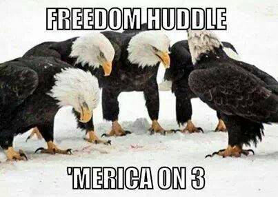 Eagle huddle