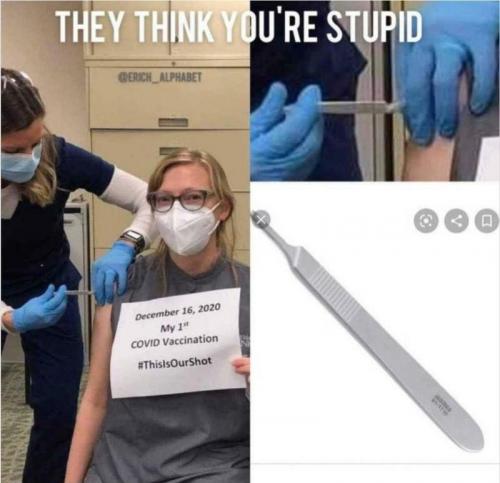 fakejab