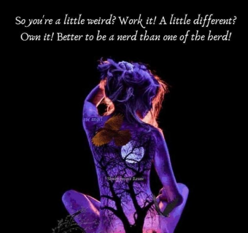 Screenshot 2021-08-10 at 11-30-13 ♡Noah♡ ( noahjones official) • Instagram photos and videos