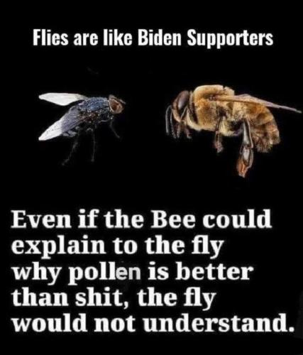 45a561dcf5d4c17615f26e4797a998e6_1024