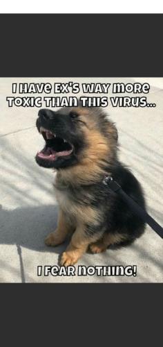 Screenshot_20211015-051345_MeWe