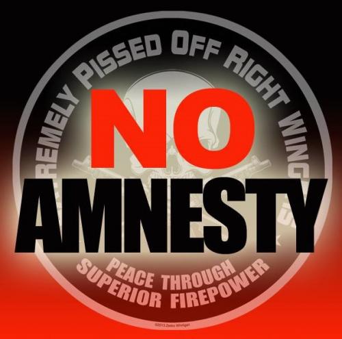 NO AMNESTY (2)