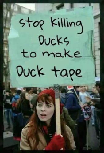 Funny - Duck tape - Stop killing ducks