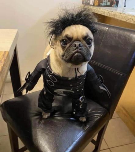 EA6474BC-BE75-40C8-B277-2168E51E97F8