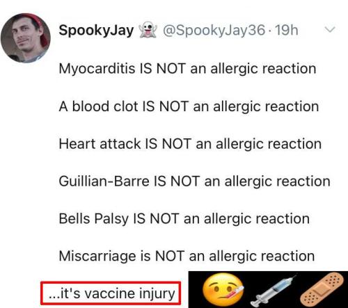 vC3MwcPkk9kbxYayqD5g_12_8988b782f1fbb2af75dce2e6a3da34b7_image