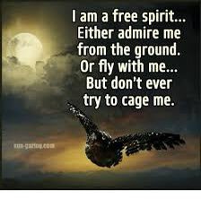 E1D4434B-0AD7-47D5-BD9C-B0BD54410100