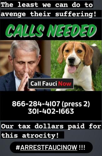 photo_2021-10-27_17-54-33