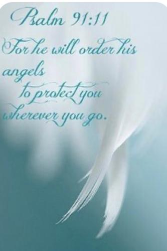 C8579116-02FE-4556-B207-B9573C8E7298