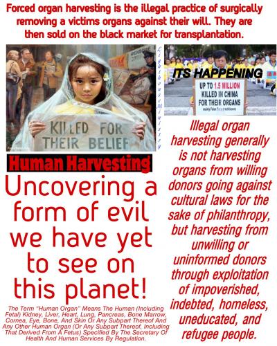 0AA82004-F4A1-4F71-87AE-EA725464B627