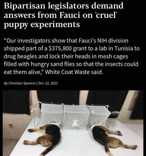 img - 2021-10-24T132144.663