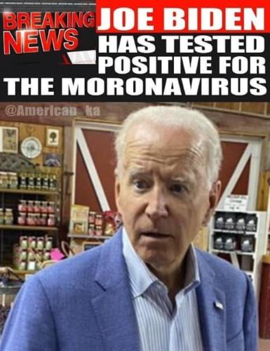 moronavision