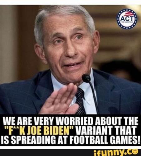 f2bd94e29f16dafe879ab7c086c852fd_500x0