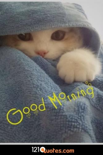good-morning-image-683x1024