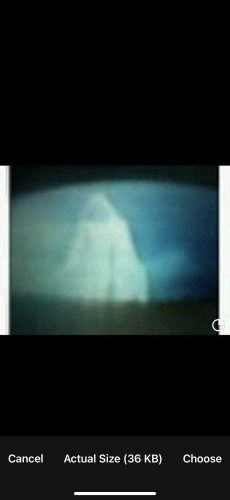 053B8B57-4EF8-4B0D-87AD-C2BF31E5D2AA