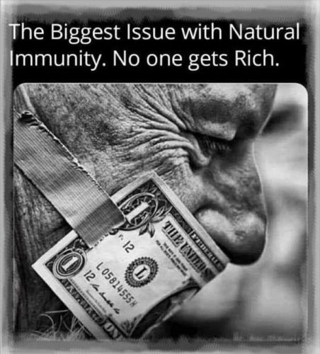 UWBZ9UtV3ZjO8LRaaxC8_08_8d419dc4a6ec482f0c0232f5a90a4ae9_image