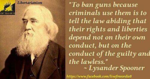 Guns440