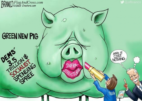 greennewpig
