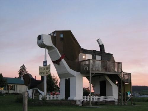 doghouse