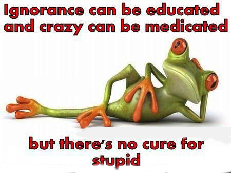 1237852_655820374437753_406781491_n