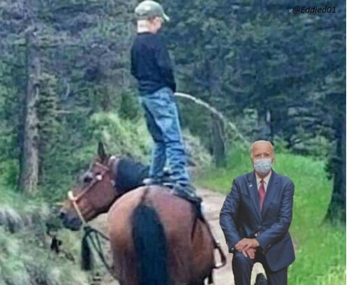 image_1634840271.524