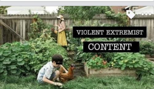 Tumblr_l_14036957532613