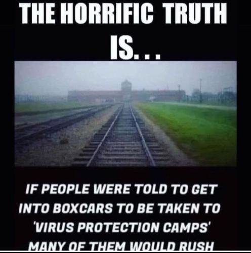 247542206_914042875872396_453662021314303185_n