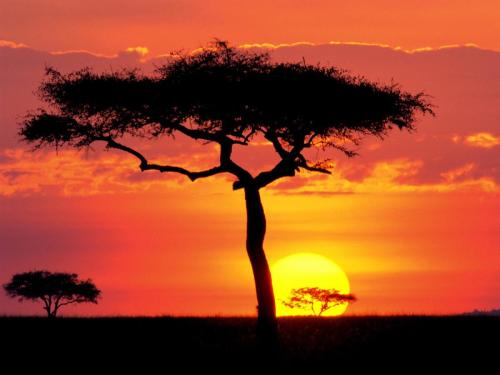Masai Mara Game Reserve at Sunset, Kenya