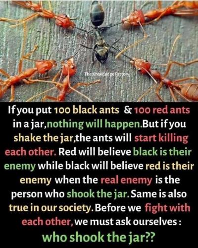 091294E2-FA72-4297-92E3-9CAC665D5165