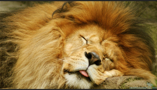 Screenshot_20211028-010552