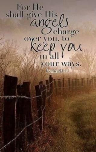 13FCF355-BA8C-42D2-ADF6-34674932F58C