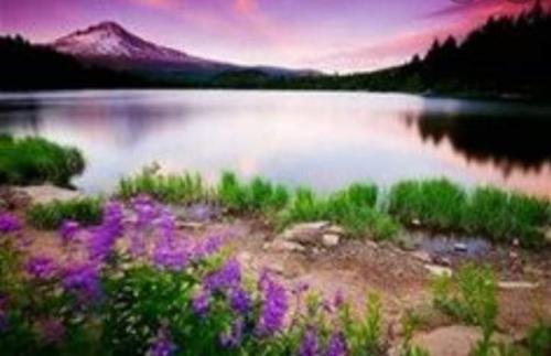 FB_IMG_1633819185964