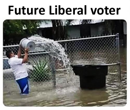 liberal voter