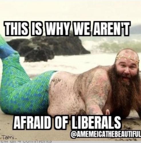 07336AC1-EE1A-4F63-86AB-401F08059A12