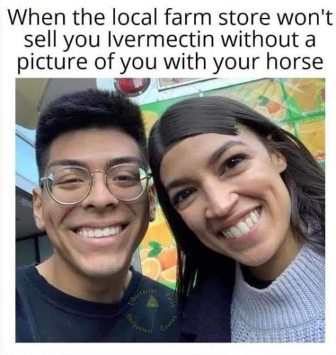 horsepic