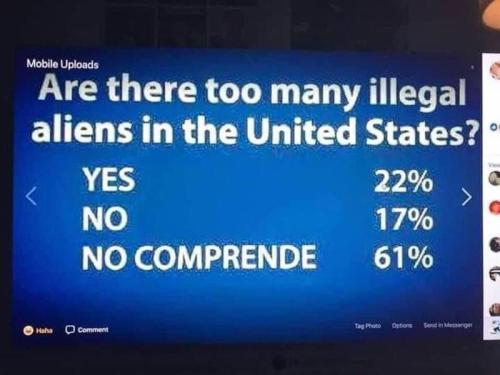 no comprende