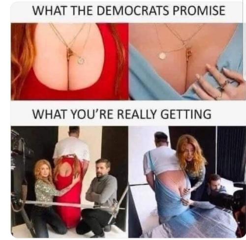 Democrats - What you're really getting