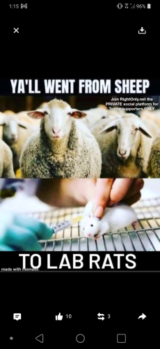 Screenshot_20211007-131518