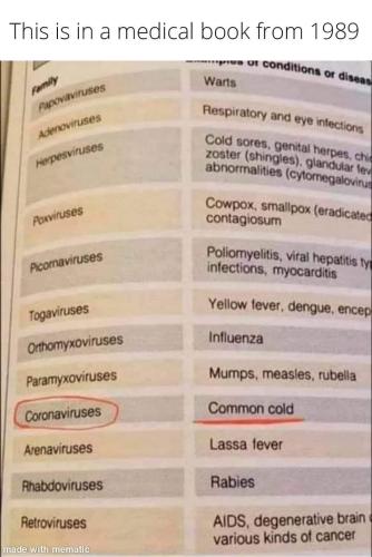 Coronavirus 49 - 1989 Medical book