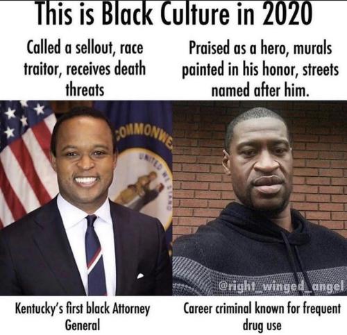 313CE7EF-F449-4FAA-B1EC-F3192B1D8EEC